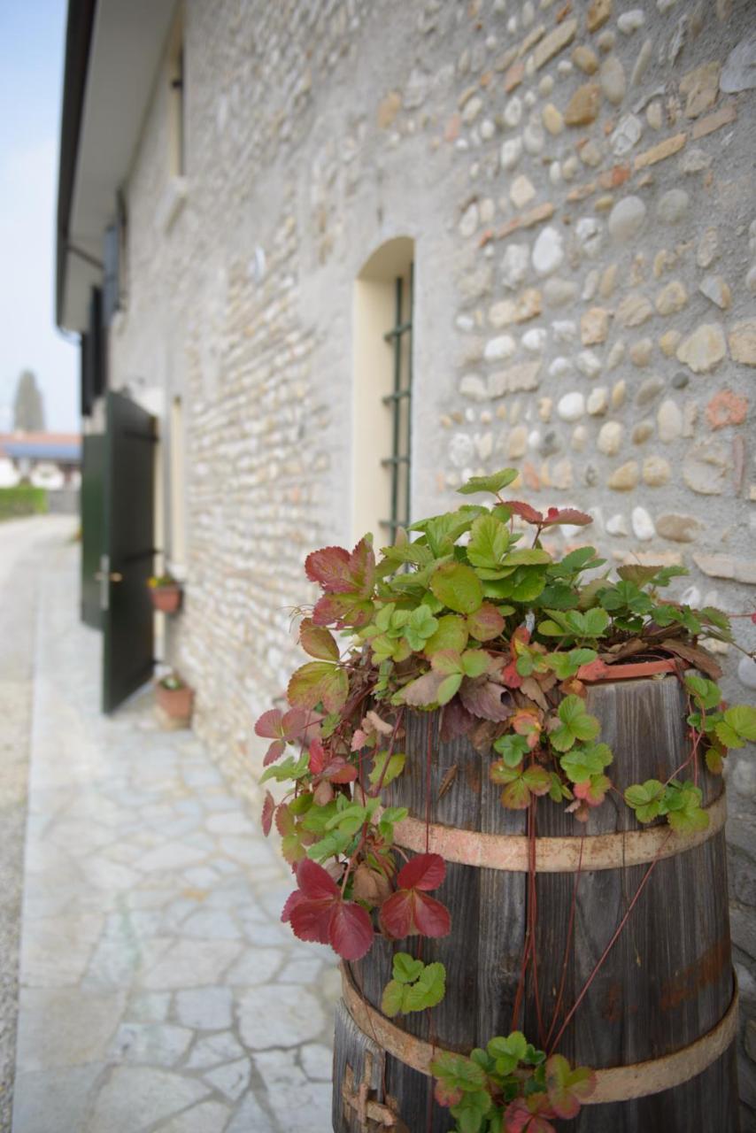 Vila Ca' Premuda Locazione Turistica Codognè Exteriér fotografie